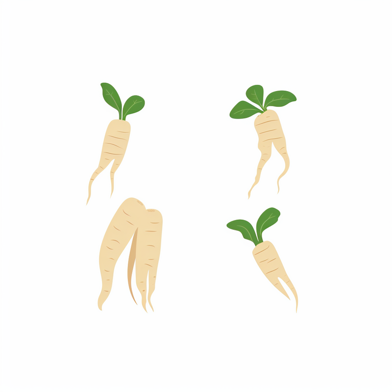 Types of Ginseng