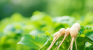 Ginseng in Korean Folklore: A Legendary Plant