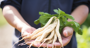 The Secrets of Sustainable Ginseng Cultivation